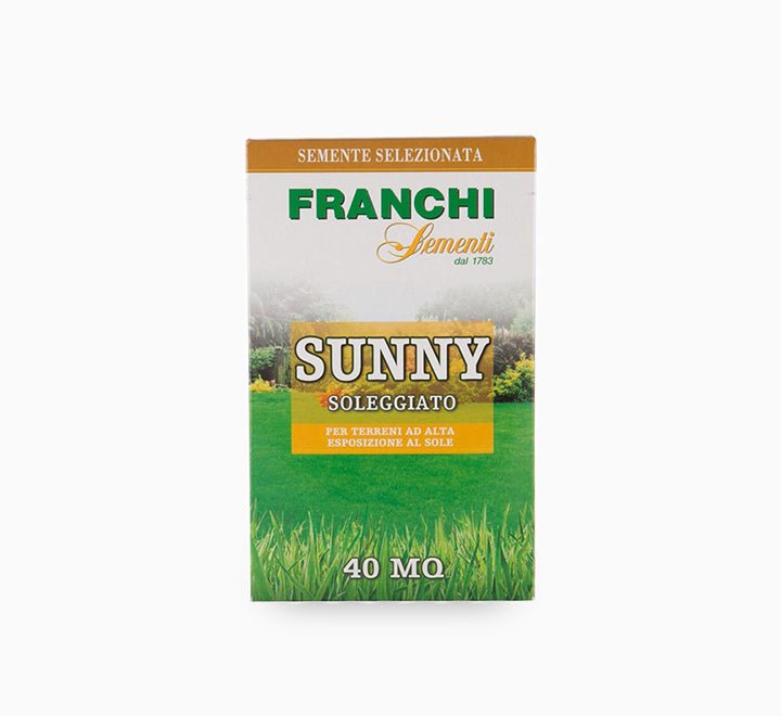 Grass Seeds Sunny Franchi (1 kg) - Greensouq - 