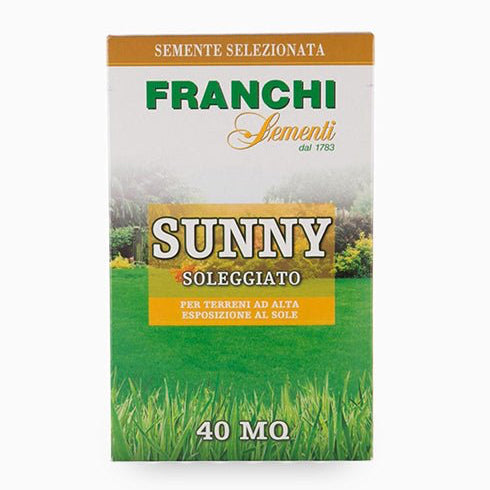Grass Seeds Sunny Franchi (1 kg) - Greensouq - 