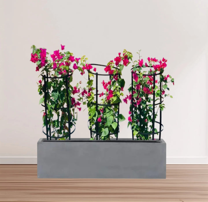 3 Bougainvillea Spectabilis  80 - 100cm in Grp Planter (100-30-30cm)