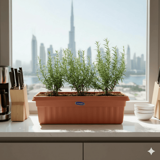 Green Aroma Rosemary Planter - Greensouq - 