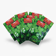 Agrimax Green Basil Seeds - Greensouq -