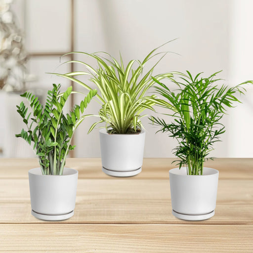 clean air bundle