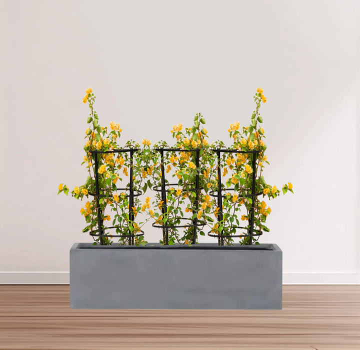3 Bougainvillea Spectabilis  80 - 100cm in Grp Planter (100-30-30cm)
