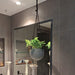 Hanging Money Plant "Epipremnum Aureum" - Greensouq - 