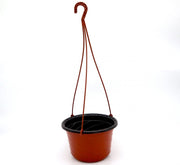 Hanging Plant Pot - Greensouq - 