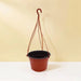 Hanging Plant Pot - Greensouq - 