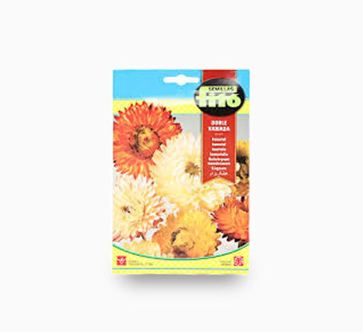 Helichrysum Monstruosum Double Mixed 3g - Fito - Greensouq - 