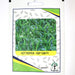 Hot Pepper KSP 1248 F1 Hybrid Premium Quality Seeds - Greensouq - 