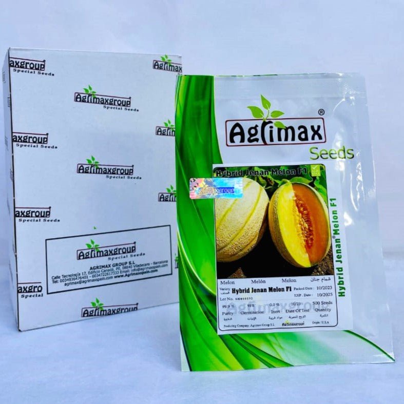 Hybrid Jenan Melon F1 seeds (500 seeds) - Greensouq - 