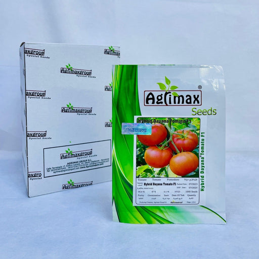 Hybrid Tomato Dayana F1 – High - Yield & Disease Resistant - Greensouq - 