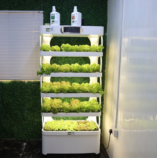 Hydroponics Pro Shelf with Automated Controls & Full Spectrum LED Grow Lights – Indoor Smart Growing System for Herbs | Vegetables & Flowers - Greensouq - 
