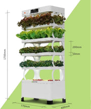 Hydroponics Pro Shelf with Automated Controls & Full Spectrum LED Grow Lights – Indoor Smart Growing System for Herbs | Vegetables & Flowers - Greensouq - 