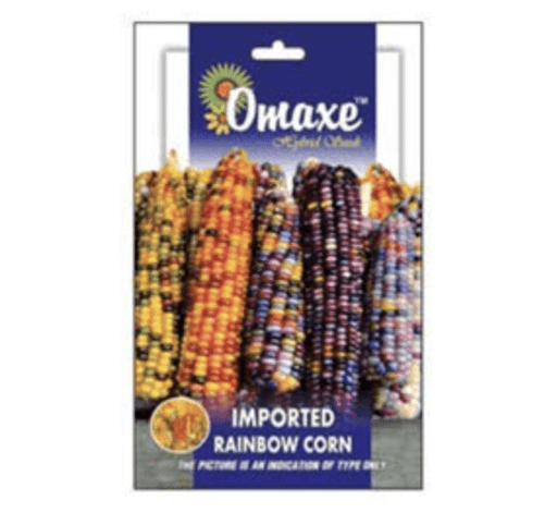 Imported Rainbow corn Seeds by Omaxe - Greensouq - 
