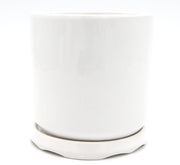 Indoor White Ceramic Pot with attached Saucer - Greensouq - 