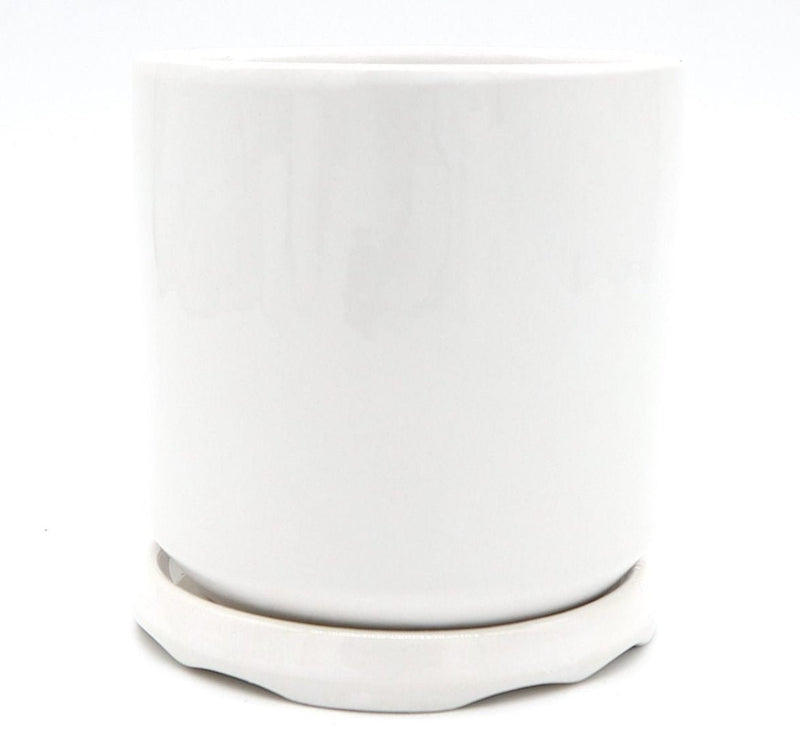 Indoor White Ceramic Pot with attached Saucer - Greensouq - 