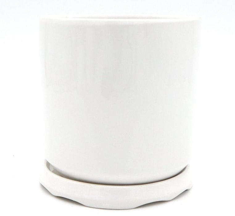 Indoor White Ceramic Pot with attached Saucer - Greensouq - 