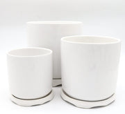 Indoor White Ceramic Pot with attached Saucer - Greensouq - 