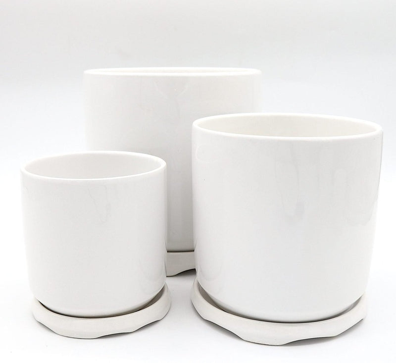 Indoor White Ceramic Pot with attached Saucer - Greensouq - 