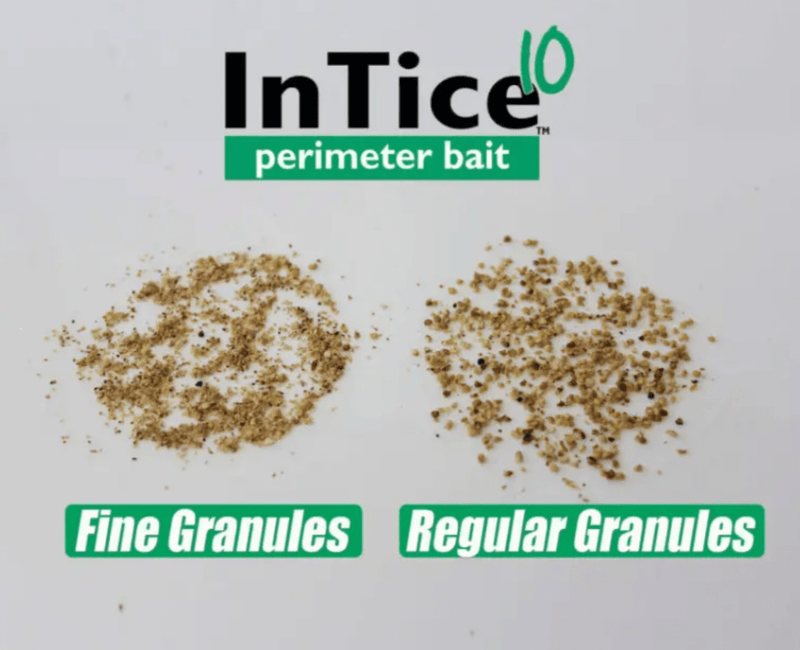 InTice 10 "Perimeter Bait" 1.82kg - Greensouq -