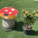 Ixora chinensis "Yellow" 25 - 50cm - Greensouq - 