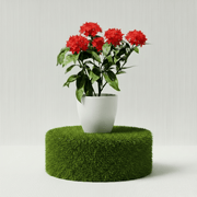 Ixora Coccinea Miniature 0.25 - 0.3m - Greensouq - 