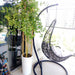 jasminum 1.8m in white ceramic pot