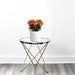 Kalanchoe Blossfeldiana or Flaming Katy - Greensouq - 