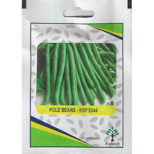 Kalash Pole Beans KSP 5344 F1 Hybrid Premium Quality Seeds - Greensouq - 