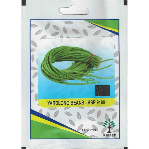 Kalash Yardlong Beans KSP 9199 F1 Hybrid Premium Quality Seeds - Greensouq - 