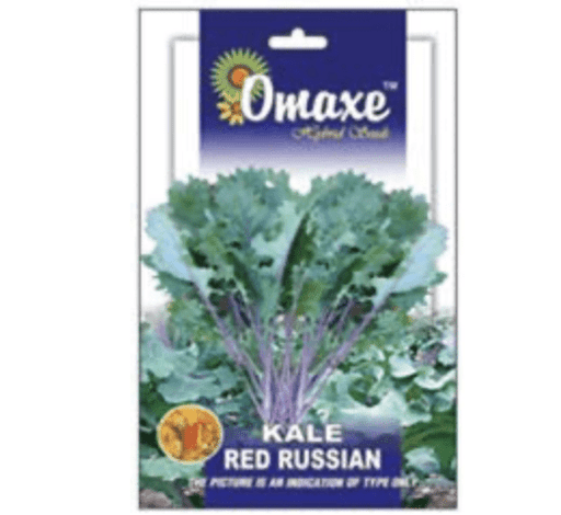 Kale Red Russian Hybrid Seeds by Omaxe - Greensouq - 