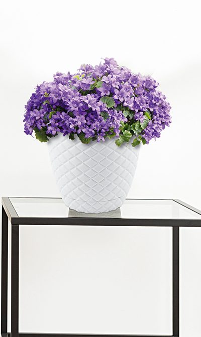 diamond plastic pot