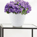 diamond plastic pot