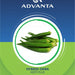 Kirti Plus Hybrid Okra Seeds 10g - Greensouq - 