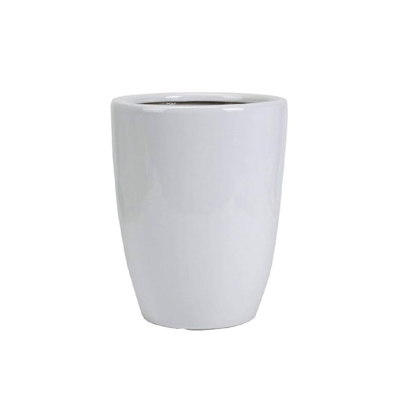 🌸 Labnani Jasmine - Dwarf Variety, 0.5 - 0.6m Height | Dubai's Favorite! - Greensouq - 