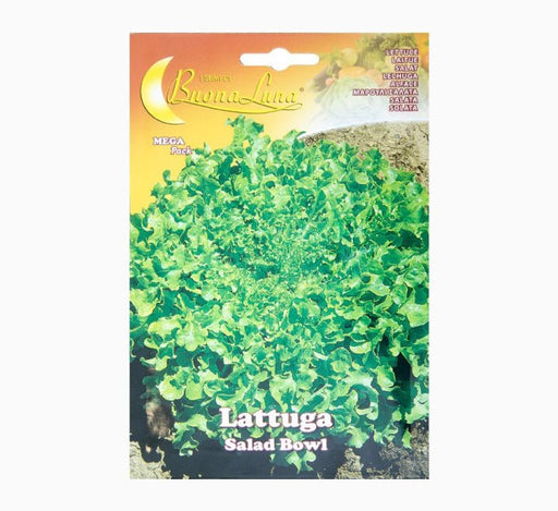 Lattuga Salad Bowl Mega Pack - Greensouq - 