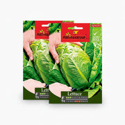Agrimax Lettuce Seeds - Greensouq -