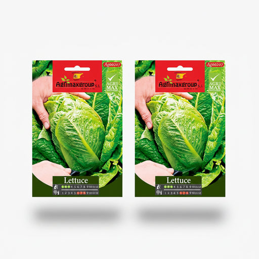 Agrimax Lettuce Seeds - Greensouq -