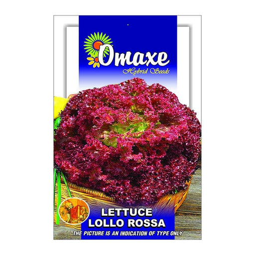 Lettuce "Lollo Rossa" Hybrid Seeds by Omaxe - Greensouq - 