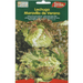 Lettuce Summer Marvel Premium Quality Seeds by EuroGarden - Greensouq - 