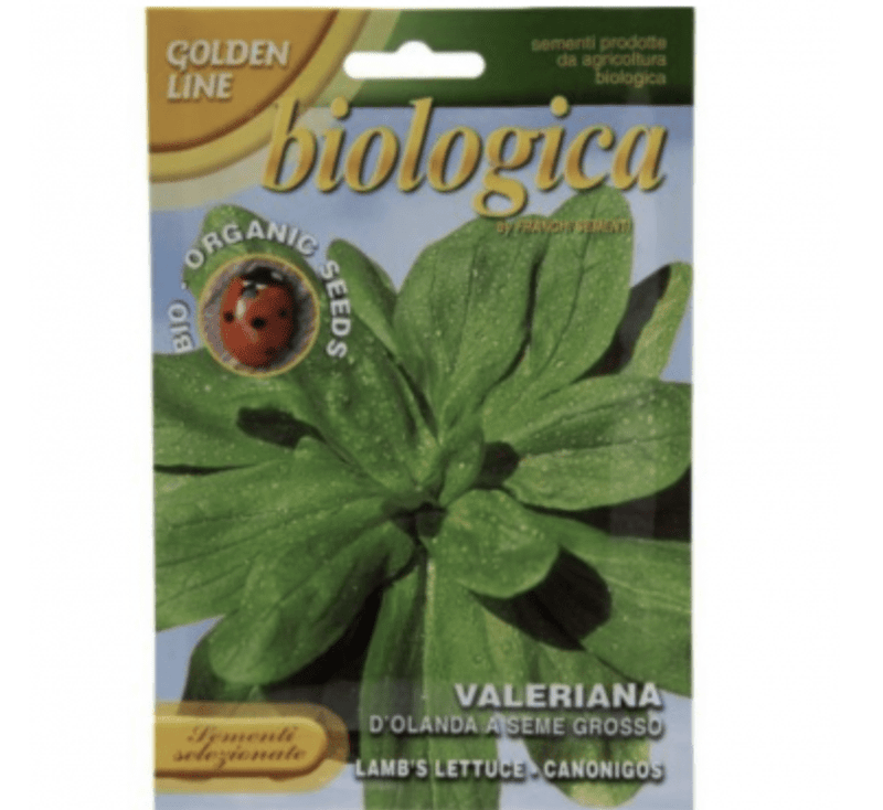 Lettuce "Valeriana D’Olanda A Seme Grosso" Organic Seeds - Greensouq -