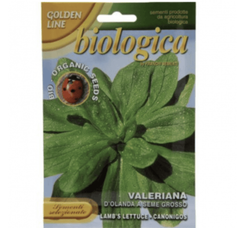 Lettuce "Valeriana D’Olanda A Seme Grosso" Organic Seeds - Greensouq -