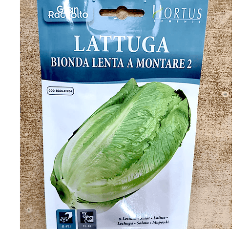 Lettuce Vegetable Herb Seeds "Bionda Lenta A Montare 2" by Hortus - Greensouq - 