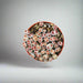 Lithops or Living Stones 8 - 12cm - Greensouq - 