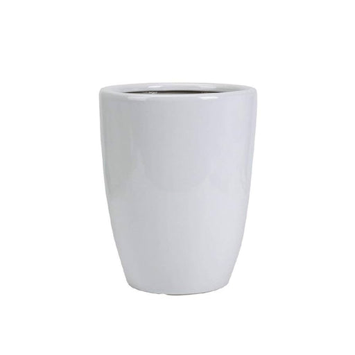 Live Mimosa Pudica 30 - 40cm (Sensitive Plant) in Black Nursery Pot with 3 - Tier Climbing Trellis – Interactive Outdoor Exotic Houseplant - Greensouq - 