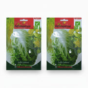 Agrimax Lollo Lettuce Seeds - Greensouq -