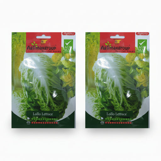 Agrimax Lollo Lettuce Seeds - Greensouq -