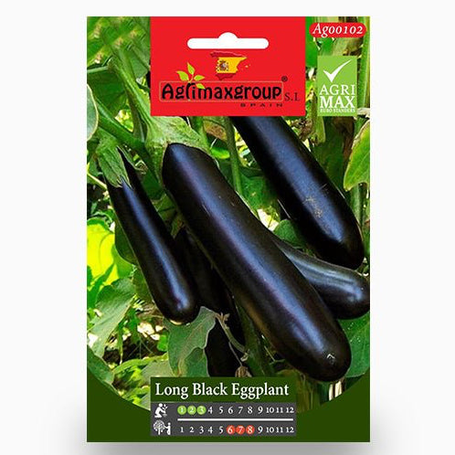 Agrimax Long Black Eggplant Seeds - Greensouq -