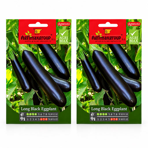 Agrimax Long Black Eggplant Seeds - Greensouq -