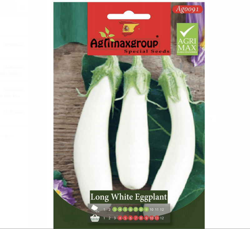 Long white Eggplant Agrimax Seeds - Greensouq - 