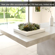 Luxury Succulent Wall Art - Greensouq - 